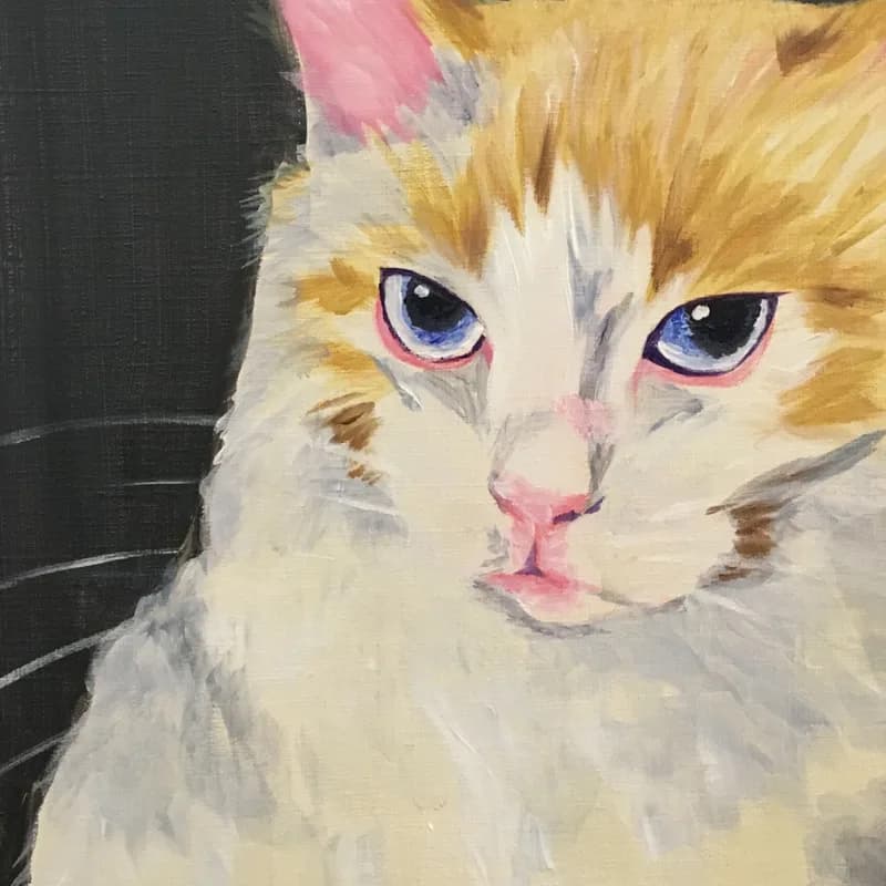Paint Your Pet!